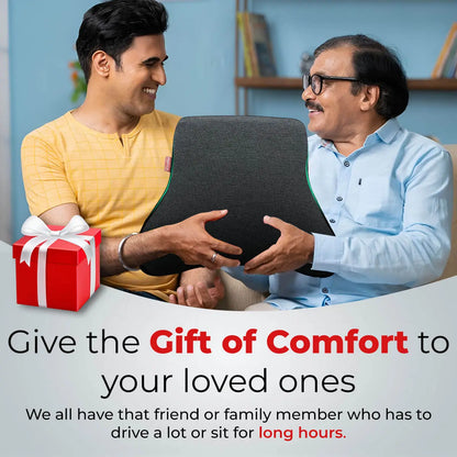 Trajectory Ultimate Car Backrest Pillow with AdvancedX Orthopedic Memory Foam, Best Product to Gift Comfort